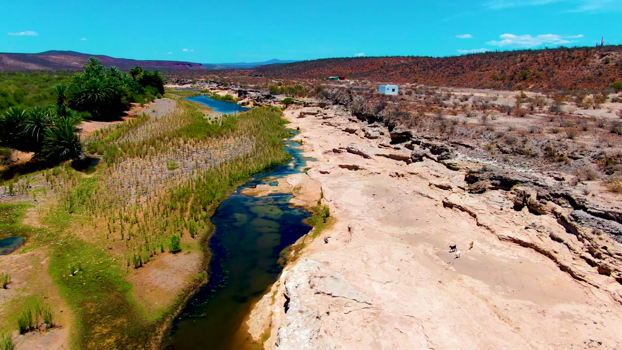 A desert stream bends through reeds with eroded rock and a small blue building beyond.