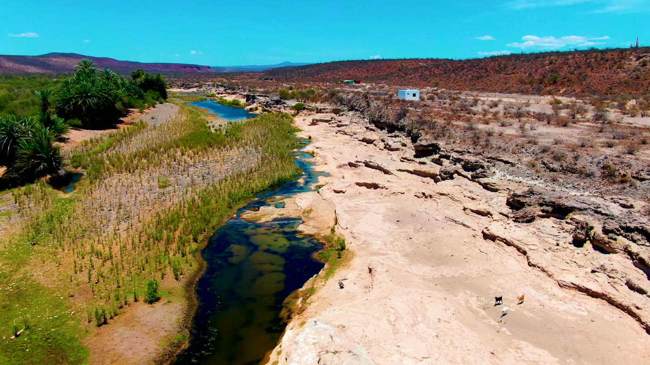 At 0:02 in San Juanico, Baja California Sur, the stream sits lower in frame beside cracked pale rock, scrubby desert ground, a small blue building, and no visible people.