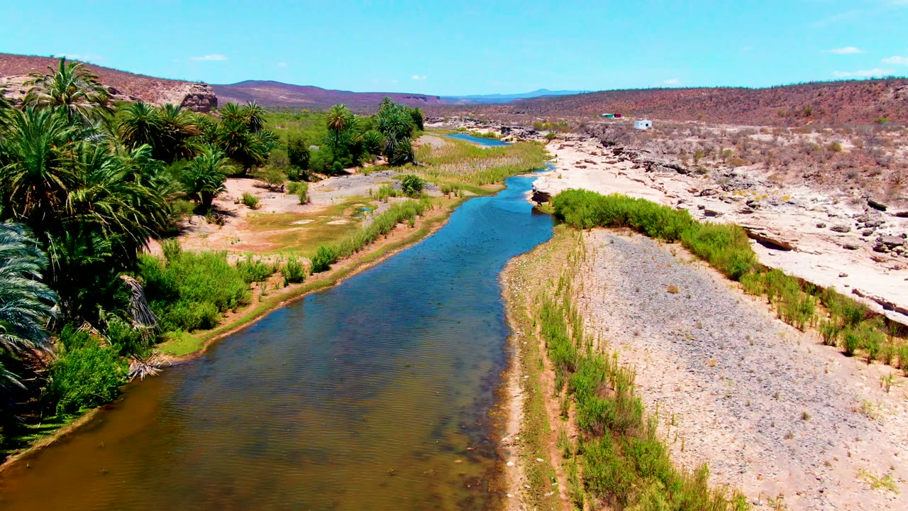 Aerial frame from San Juanico, Baja California Sur showing a blue-green river curving past a gravel bar, palm trees, low scrub, dry hills, and no visible people.