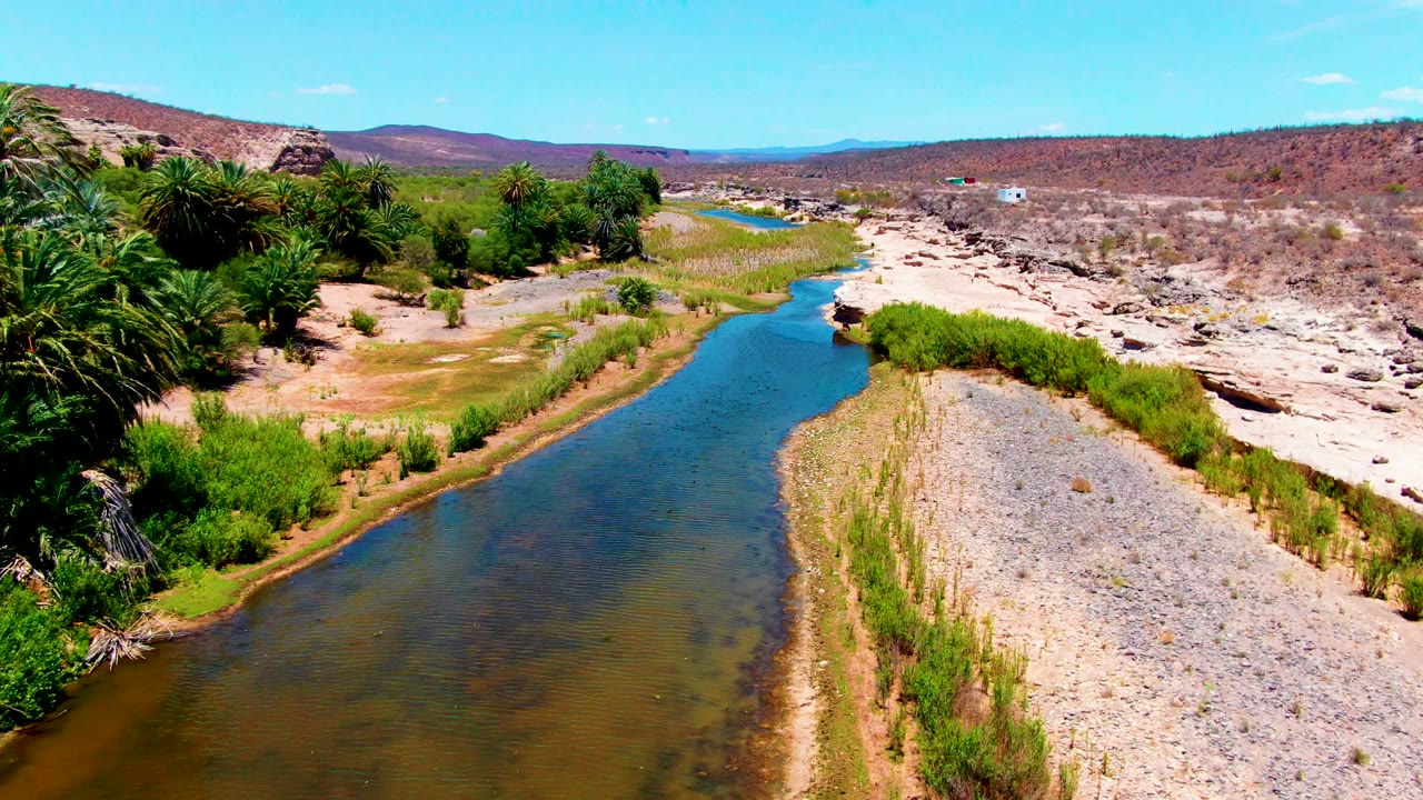 Drone view over a narrow river channel bordered by palms, scrub, and pale rock.