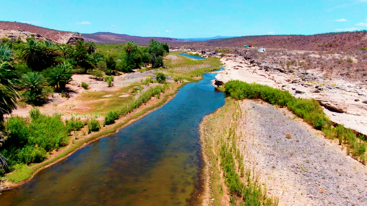 San Juanico, Baja California Sur aerial frame showing the river alongside a long gravel bank, green reeds and shrubs at the edge, palm clusters, brown hills, and no visible people.