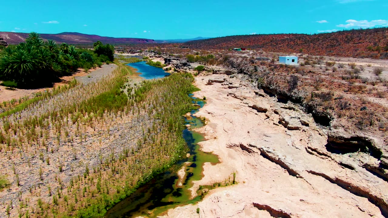 Aerial frame from San Juanico, Baja California Sur showing blue-green water beside reeds, pale eroded rock, palms, low hills, a small white building, and no visible people.