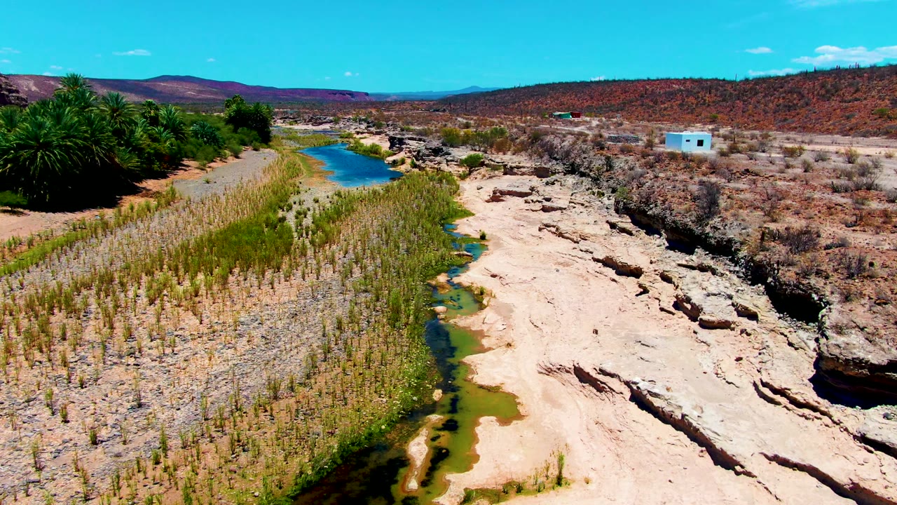 Desert stream curving past reeds, palms, rocks, and a small white building