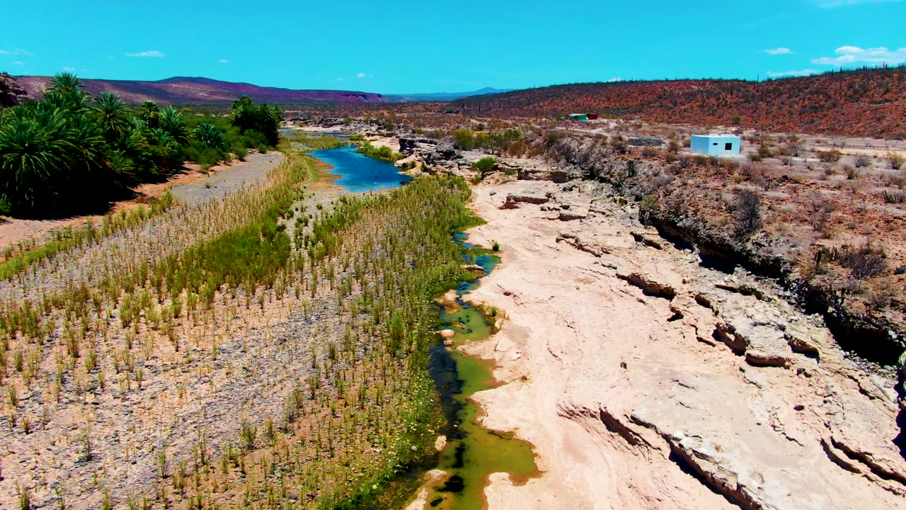 San Juanico, Baja California Sur aerial frame with blue-green water running past reed beds, a pale rock shelf, brown scrubland, palms, distant hills, a small white building, and no visible people.
