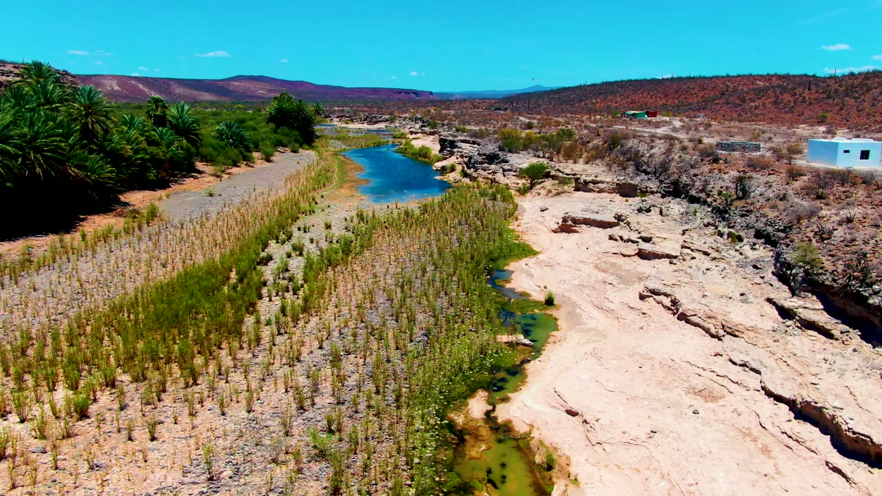 Aerial frame from San Juanico, Baja California Sur showing blue river water between cultivated rows, pale rocky ground, palms, low hills, a small white structure, and no visible people.