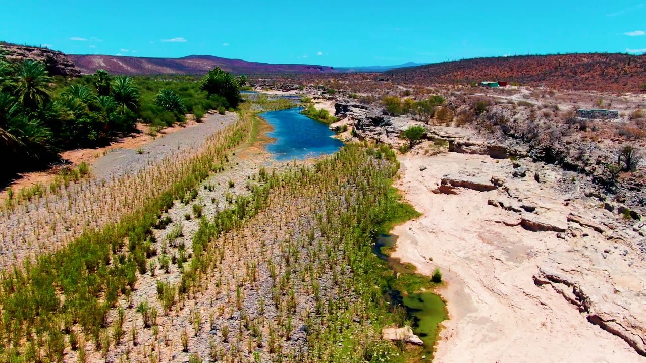 San Juanico, Baja California Sur aerial frame showing blue water curving past cultivated vegetation, dry stone shelves, palms, scrub-covered hills, and no visible people.