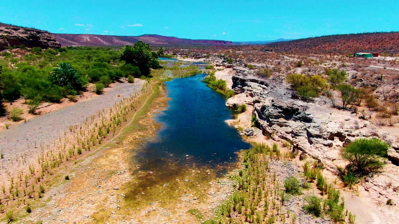 River water bordered by desert shrubs and pale rocks.