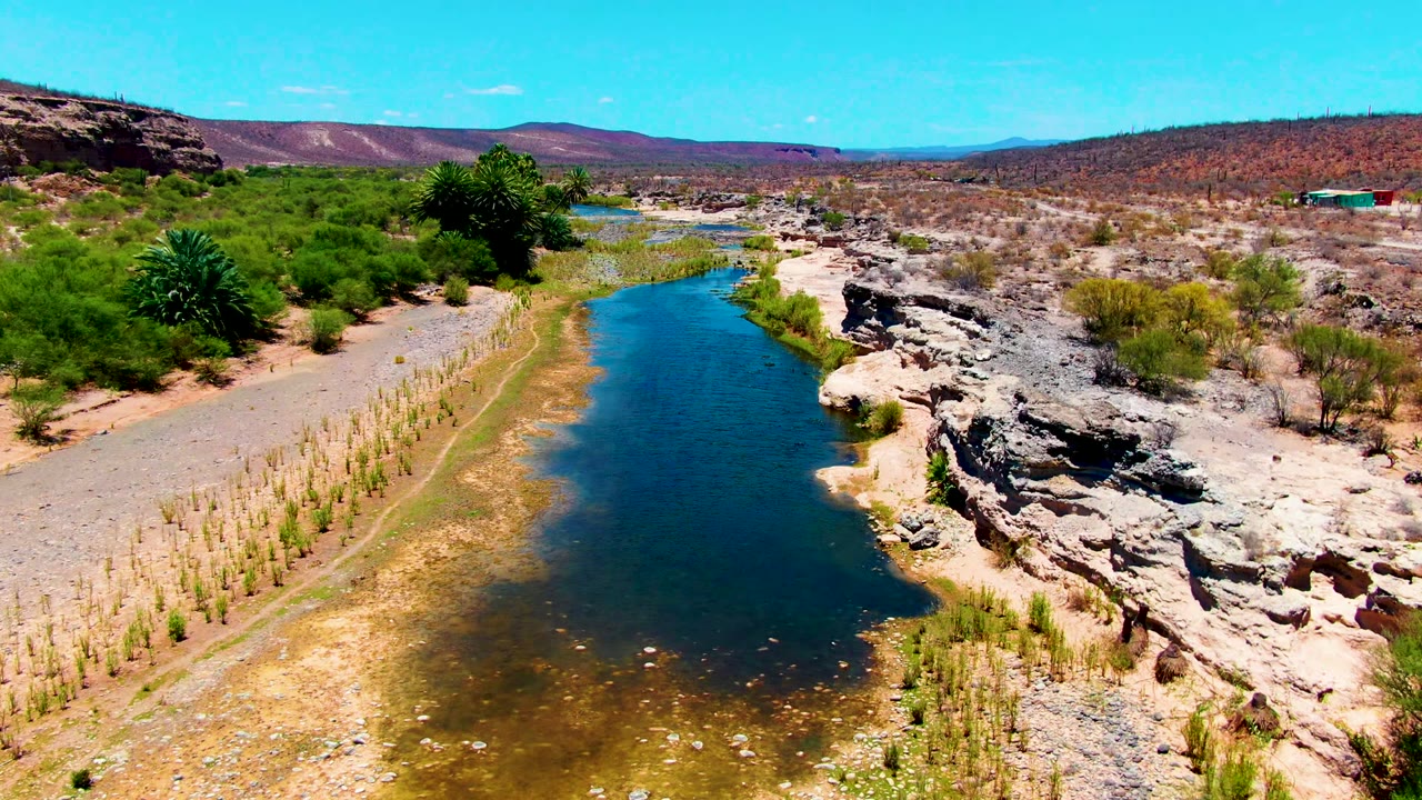 Aerial frame over San Juanico, Baja California Sur, showing blue-green water beside layered light rock, a sparse plant-covered bank, palms, distant scrub-covered hills, and no visible people.