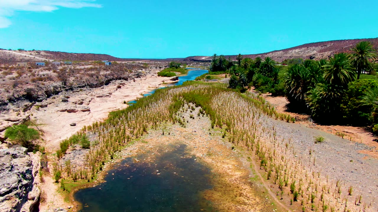 Aerial frame from San Juanico, Baja California Sur showing a shallow dark pool in the foreground, rows of reeds, a blue water channel, palm trees, low hills, and no visible people.