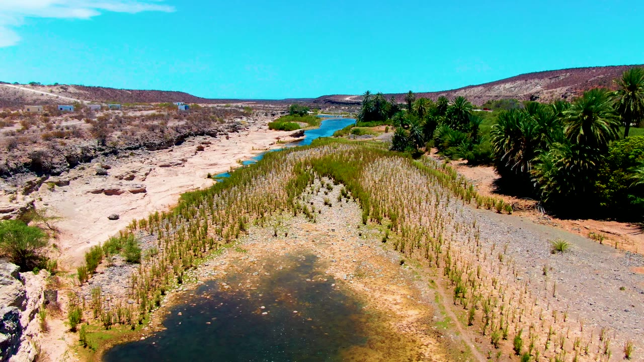San Juanico aerial frame showing the rocky dry wash on the left, dense palms on the right, a central patch of reeds, shallow water in the foreground, distant hills, and no visible people.