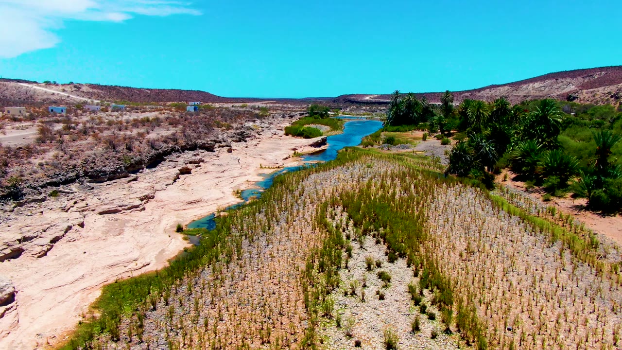 Aerial frame over San Juanico, Baja California Sur, with a blue river curving past pale rock banks, dense green reeds, palm trees on the right, low hills, and no visible people.
