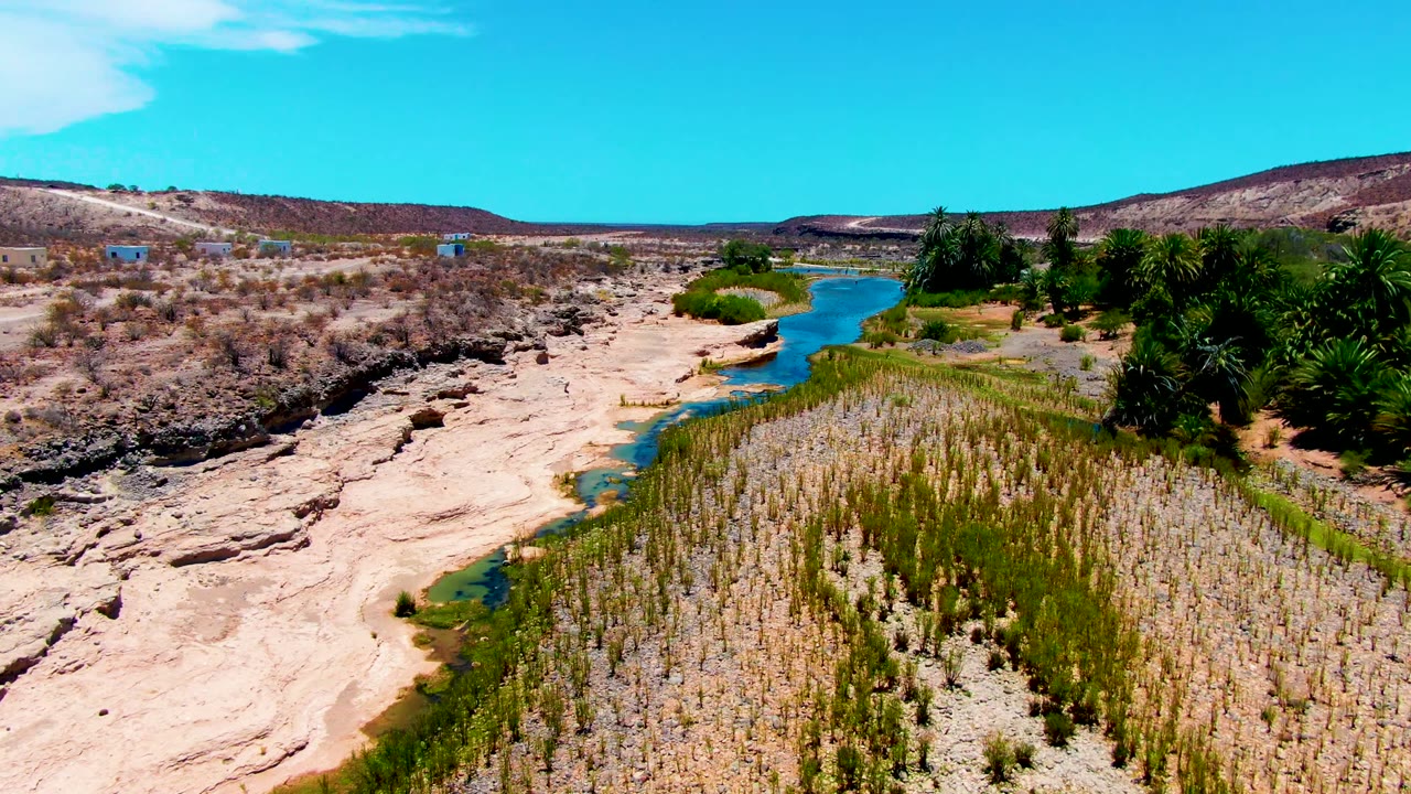Aerial frame over San Juanico, Baja California Sur, with the river centered between pale exposed rock on the left and a dark green palm cluster on the right, with no visible people.