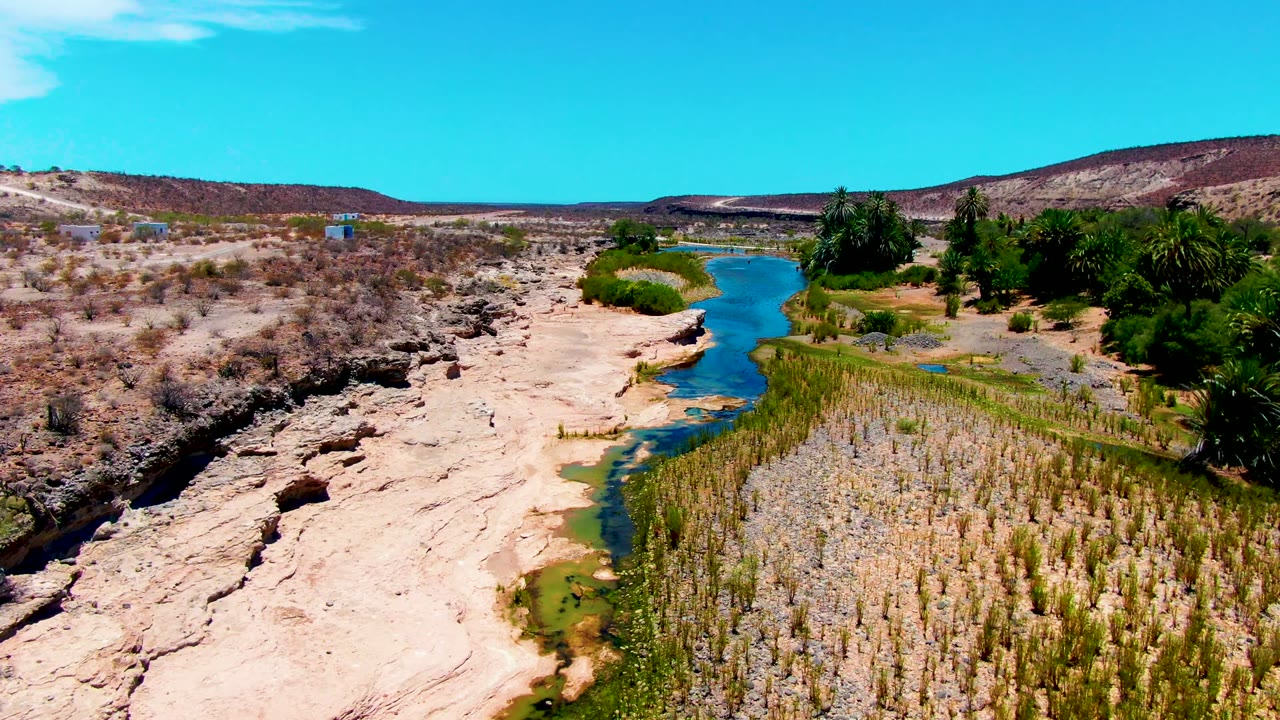 Aerial view in San Juanico, Baja California Sur, showing a narrow blue-green river between pale rock shelves, reed beds, palms, dry scrub, low hills, and no visible people.