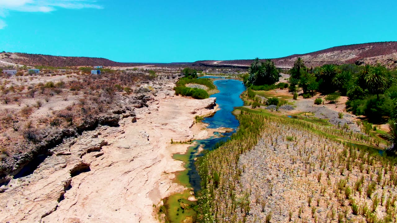 Aerial frame in San Juanico, Baja California Sur, with the river curving deeper through pale rocky banks, dense reeds on one side, palms in the midground, distant low hills, and no visible people.