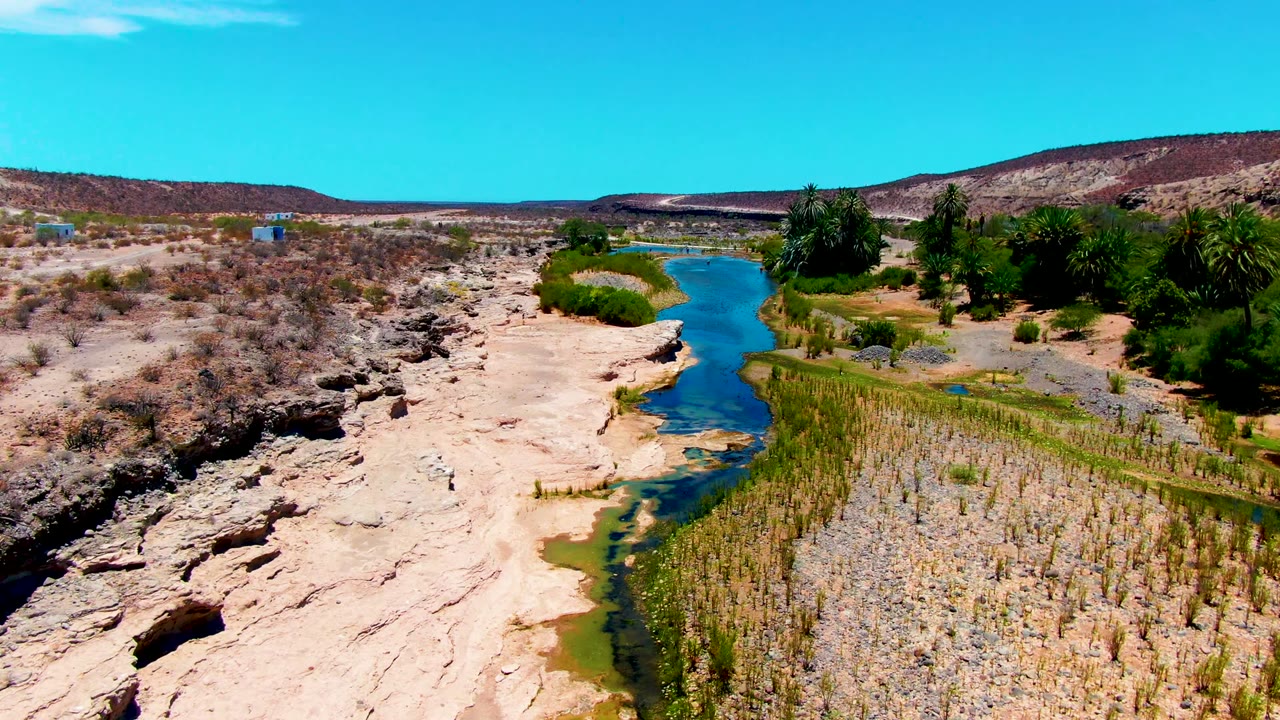 Aerial view in San Juanico, Baja California Sur, where the blue river holds the center of frame beside a broad reed bed, pale eroded rock, palms, dry brush, and no visible people.