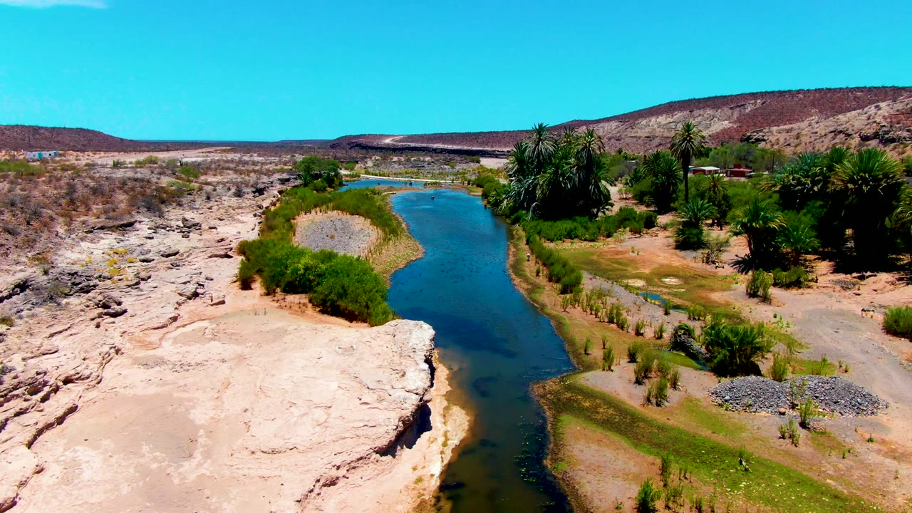 Drone view looking along a desert waterway with reeds and palm trees beside it.