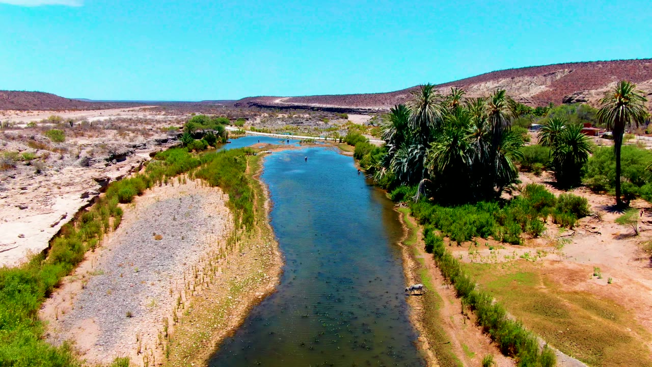 Drone view over riverbank with palms and a small vehicle near the water