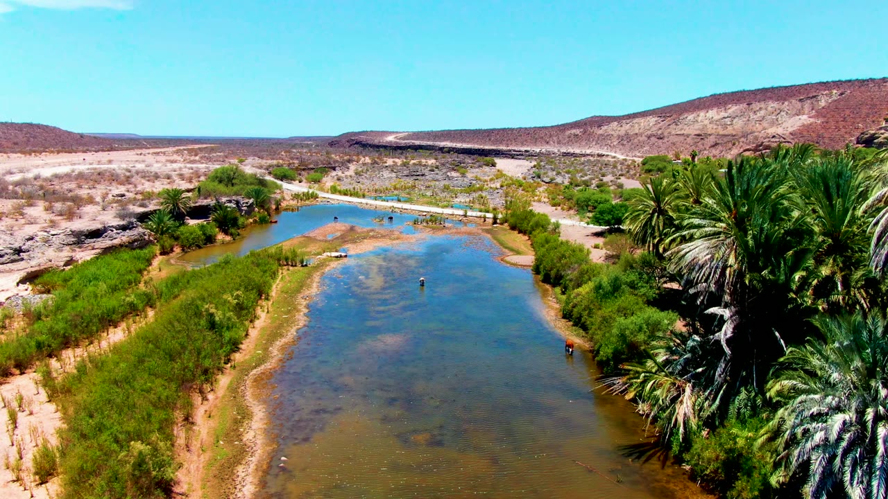 Aerial frame over San Juanico, Baja California Sur showing a shallow riverbed bordered by dense green shrubs, palms on the right bank, low reddish hills in the distance, and no visible people.