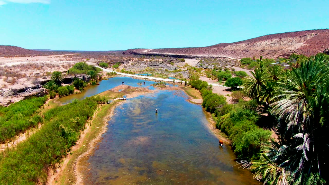 Drone view down a shallow river channel with palms, scrub, sandy banks, and distant hills.