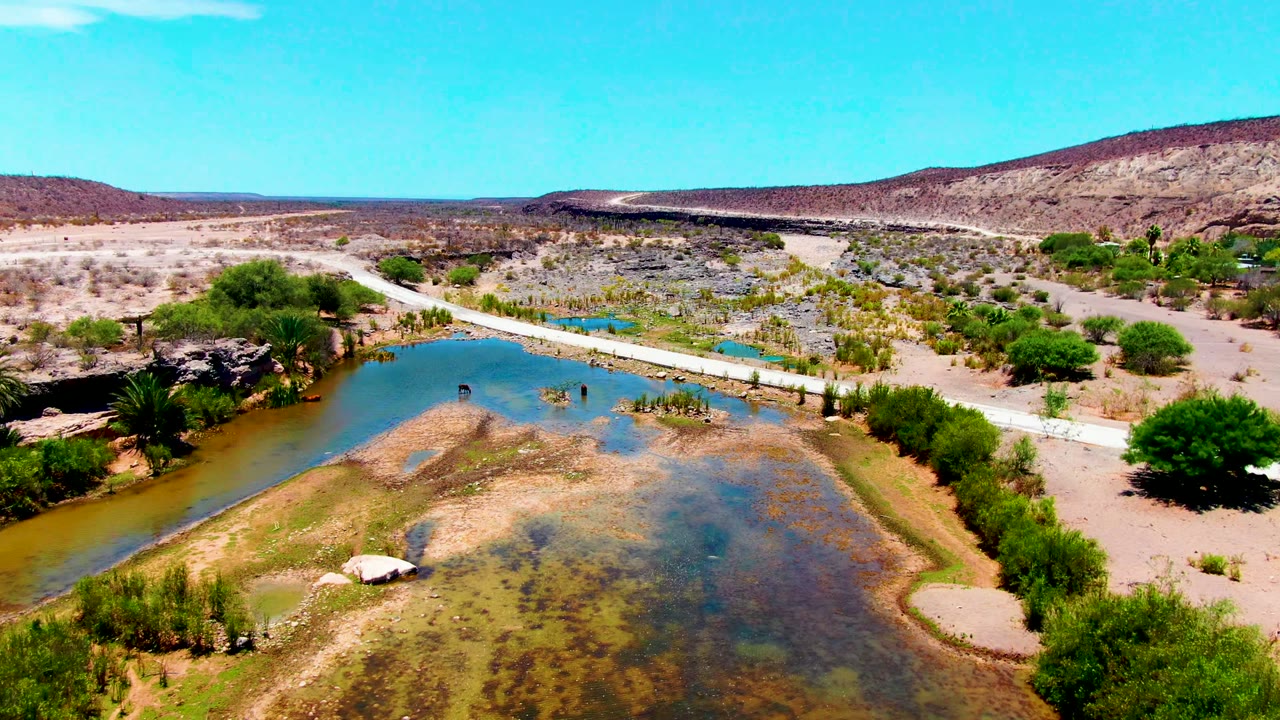 Aerial frame over San Juanico, Baja California Sur showing shallow river water, sandy banks, green trees, desert scrub, a pale road crossing the scene, distant hills, and no visible people.