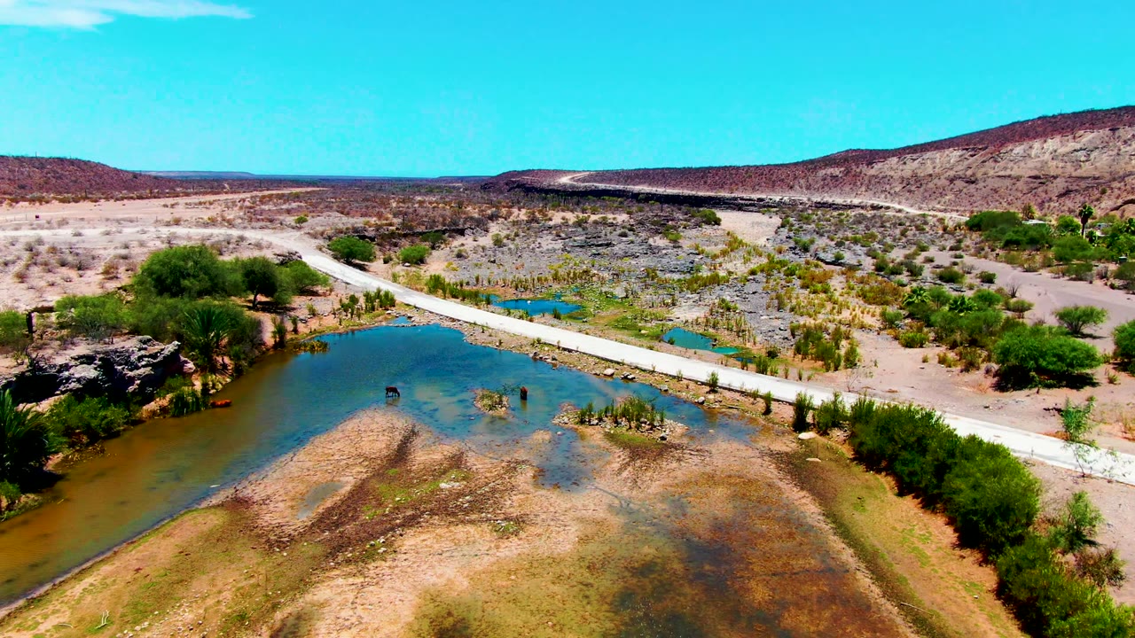 Aerial view in San Juanico, Baja California Sur showing a shallow river bend, scrub-covered banks, a light road crossing, scattered trees, rocky desert ground, distant hills, and no visible people.