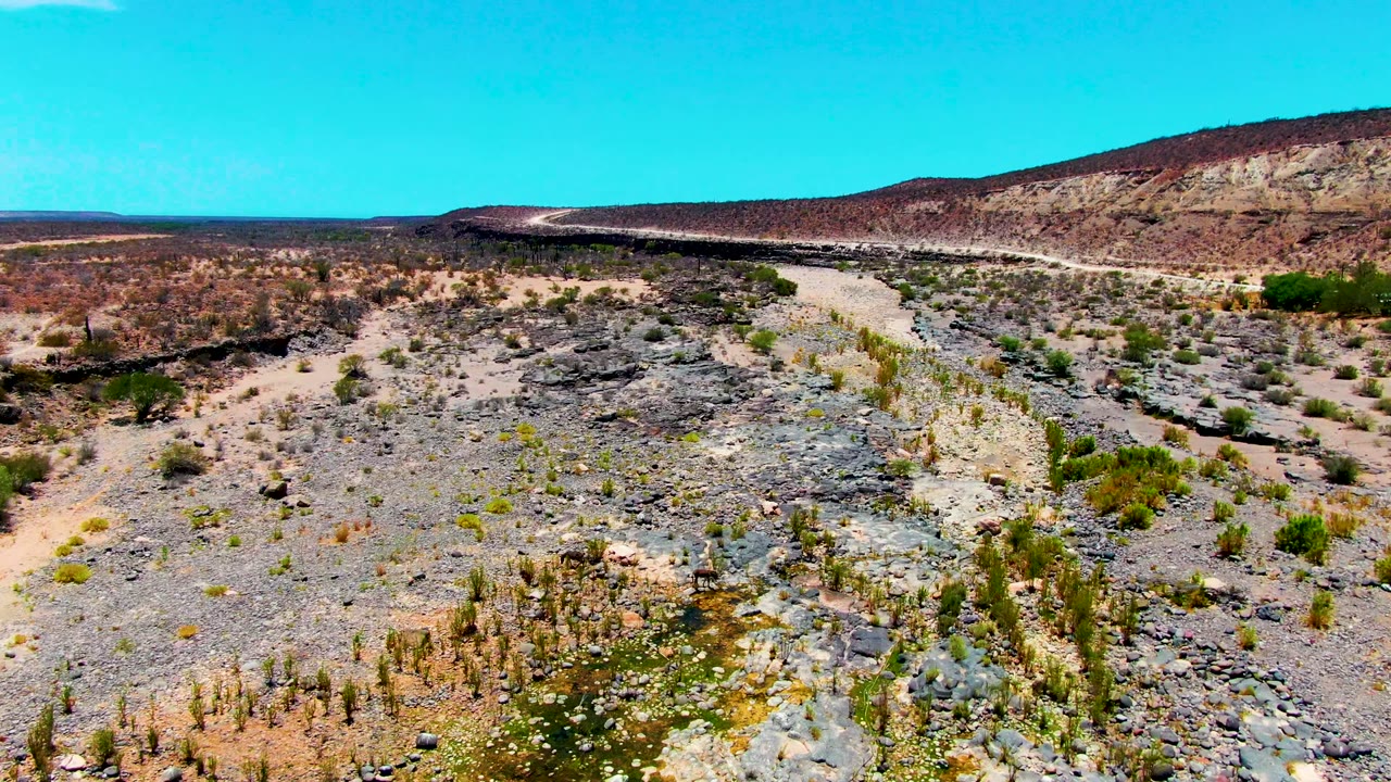 Aerial desert landscape with scrub, rock slabs, and a distant ridge
