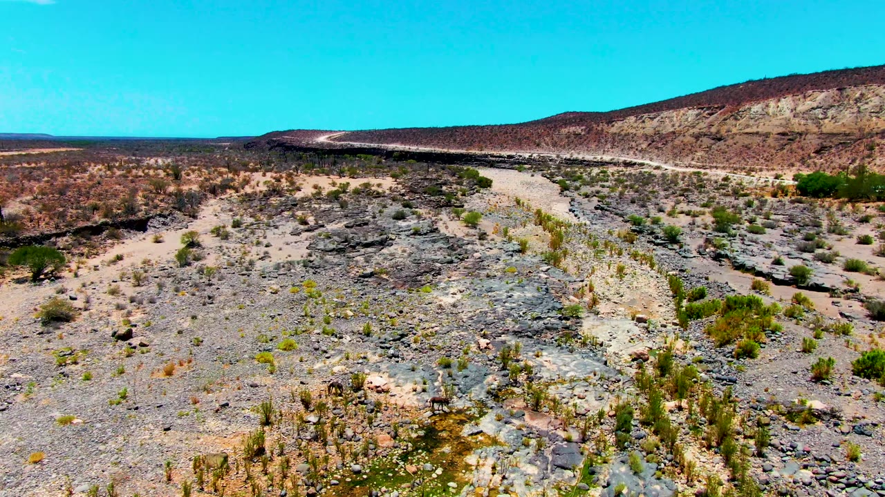 Dry rocky wash in San Juanico, Baja California Sur, with scattered green shrubs, pale gravel channels, a long reddish hillside, and no visible people.