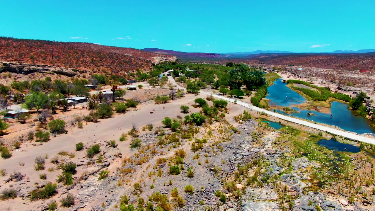 Aerial view over San Juanico with a straight pale road or bridge beside bright blue water, scrubby desert ground, a cluster of trees and buildings, distant hills, and no visible people.