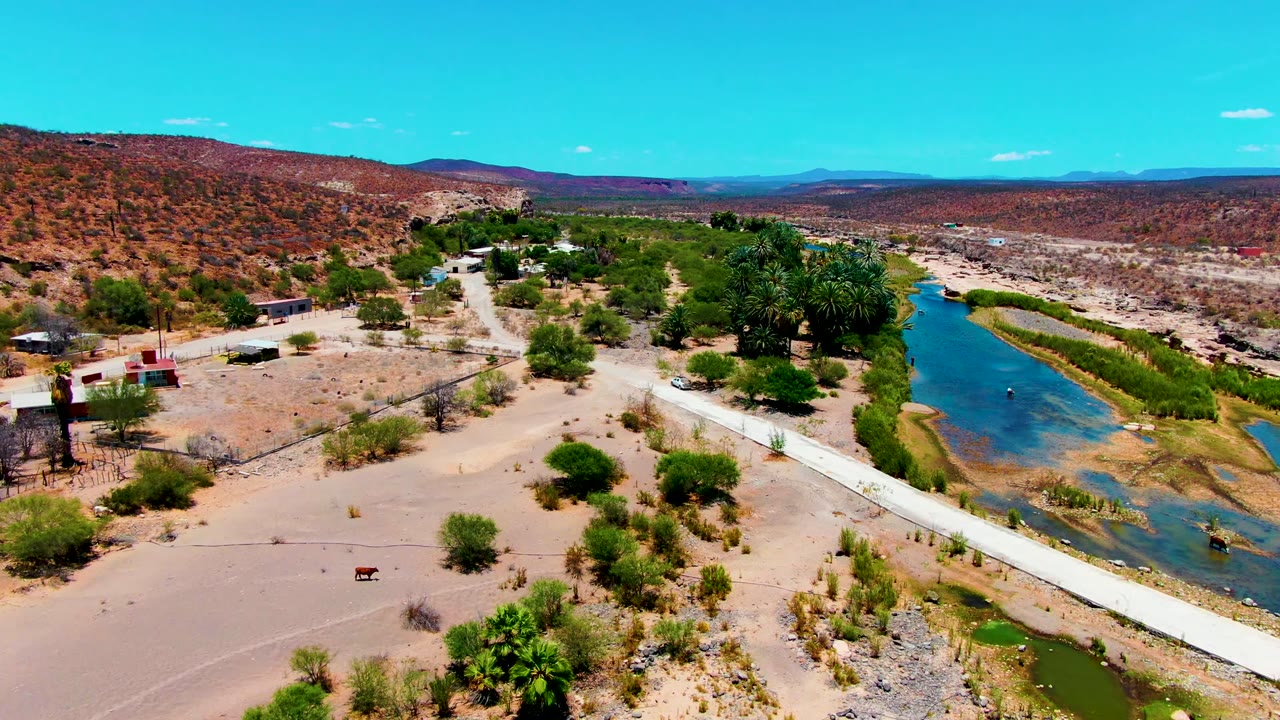 Drone aerial over San Juanico, Baja California Sur showing turquoise water, green reeds, a pale road or bridge, dry washes, scattered vegetation, small buildings, and no visible people.