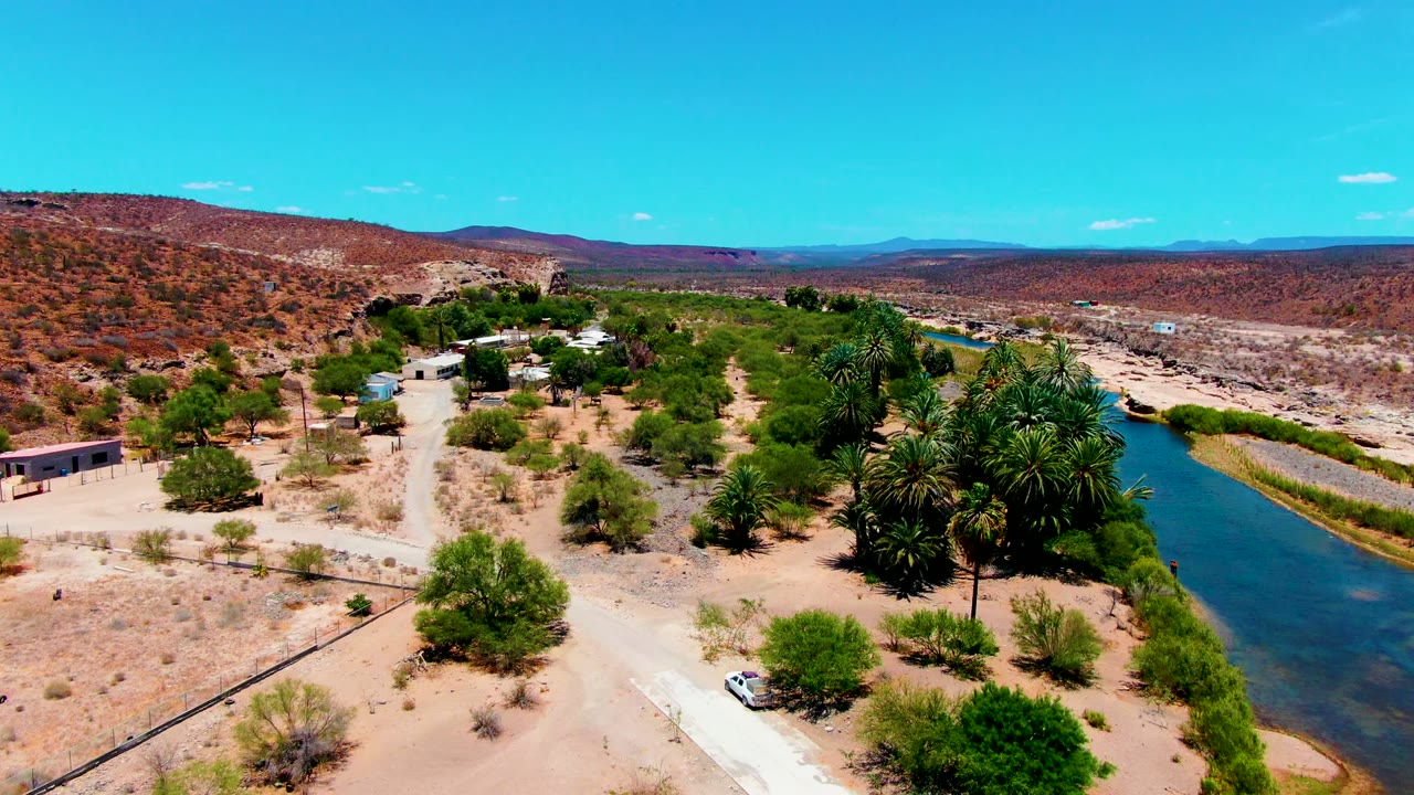 Desert road and river with palms, scrub, buildings, and a white car