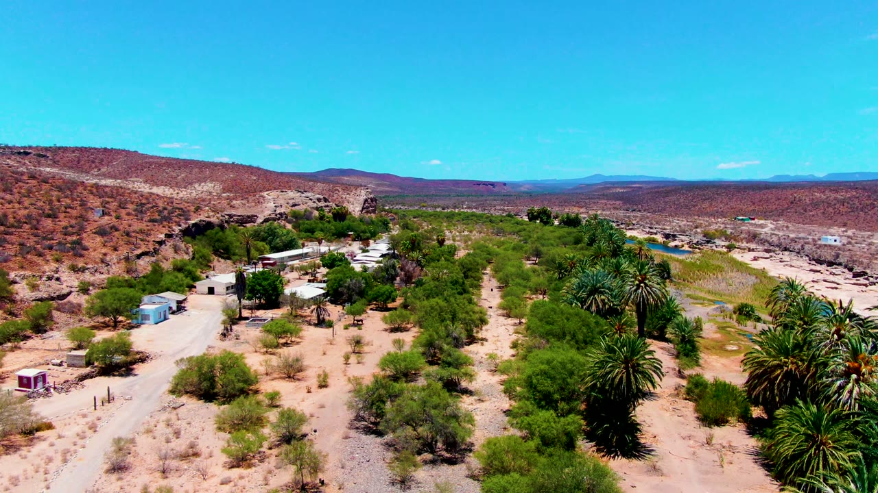 Drone view of desert vegetation, a dirt track, palms, and small buildings near low hills.