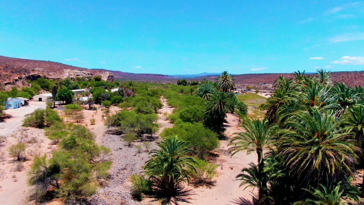 Opening aerial frame over San Juanico, Baja California Sur with palms and shrubs spread across sandy desert ground, distant hills on the horizon, and no visible people.