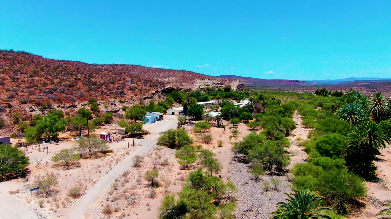 Aerial frame over San Juanico, Baja California Sur, showing the settlement amid sandy ground and green vegetation, with a cluster of palms at right, low hills across the background, and no visible people.