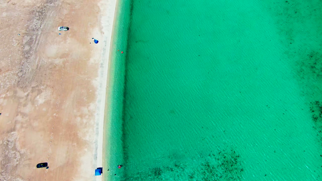 Vertical shoreline aerial with vehicles on sand and seaweed patches in turquoise water.