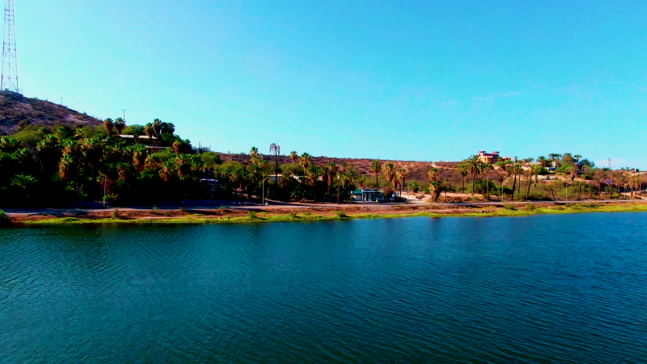 Rippling lake water with palms and dry hills along the shore.
