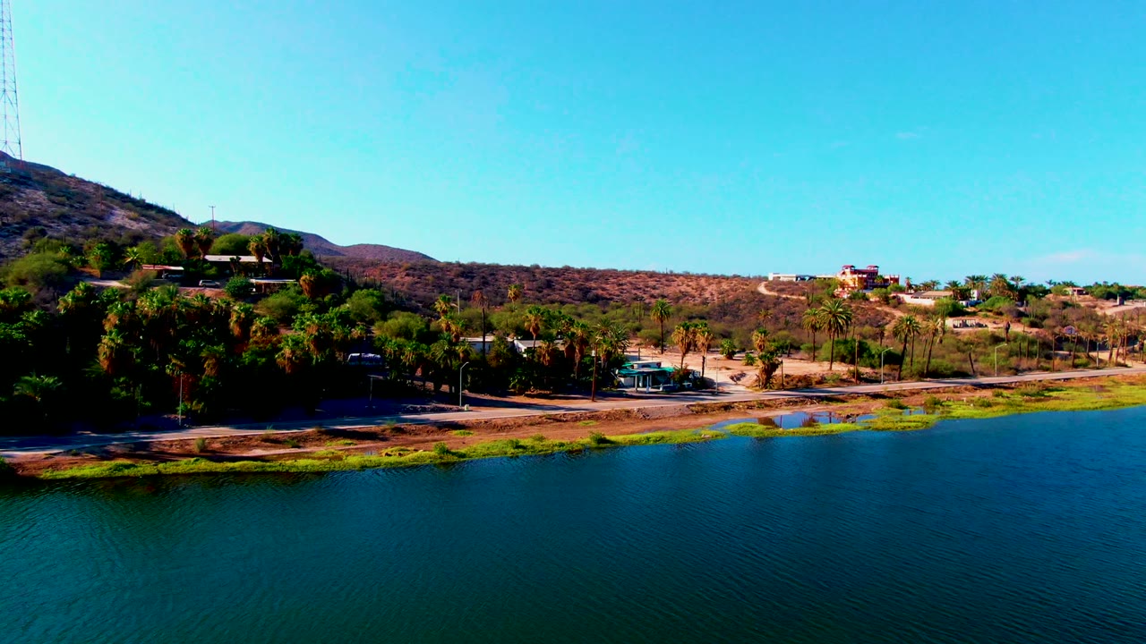 Reservoir shoreline with palms, hillside, road, scattered buildings, and blue sky.