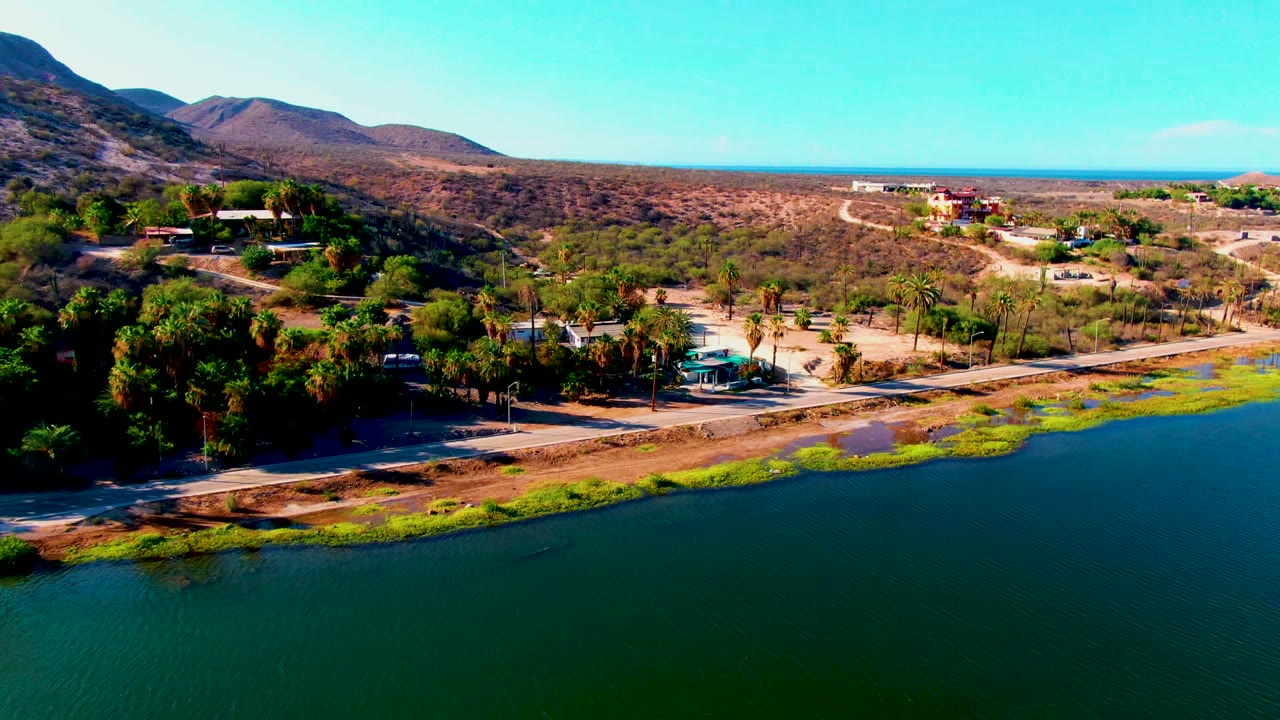 Aerial frame over Mulege, Baja California Sur, with green water in the foreground, a road along the shoreline, palms, dry hillside, scattered buildings, and no visible people.