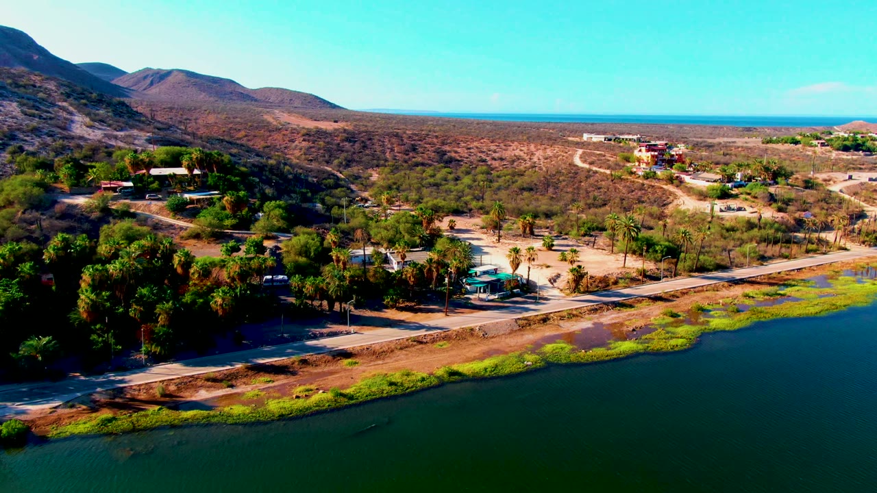 Wide Mulege aerial with the waterline and bright green shoreline vegetation in front, a road and palm grove through the middle, dry hills and scattered houses beyond, and no visible people.