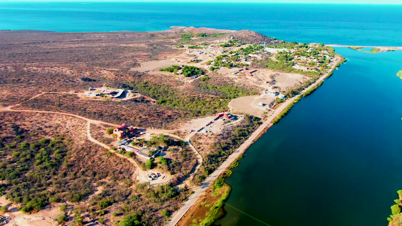 Aerial view of Mulege's coastal edge with dry brushland on the left, a narrow road near the shore, clustered trees and buildings inland, bright blue water on the right, and no visible people.