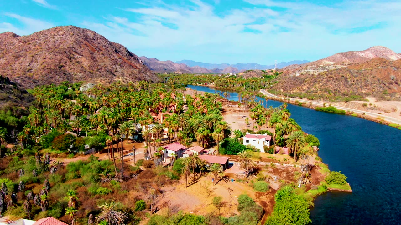 Palm grove and blue river running between dry hills under a clear sky.