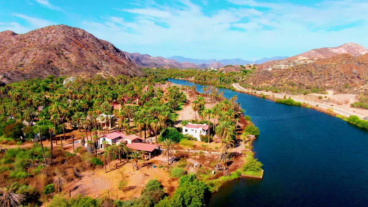 Aerial view in Mulege, Baja California Sur showing deep blue water at right, dense green palms and buildings at left, tan hills behind, and no visible people.