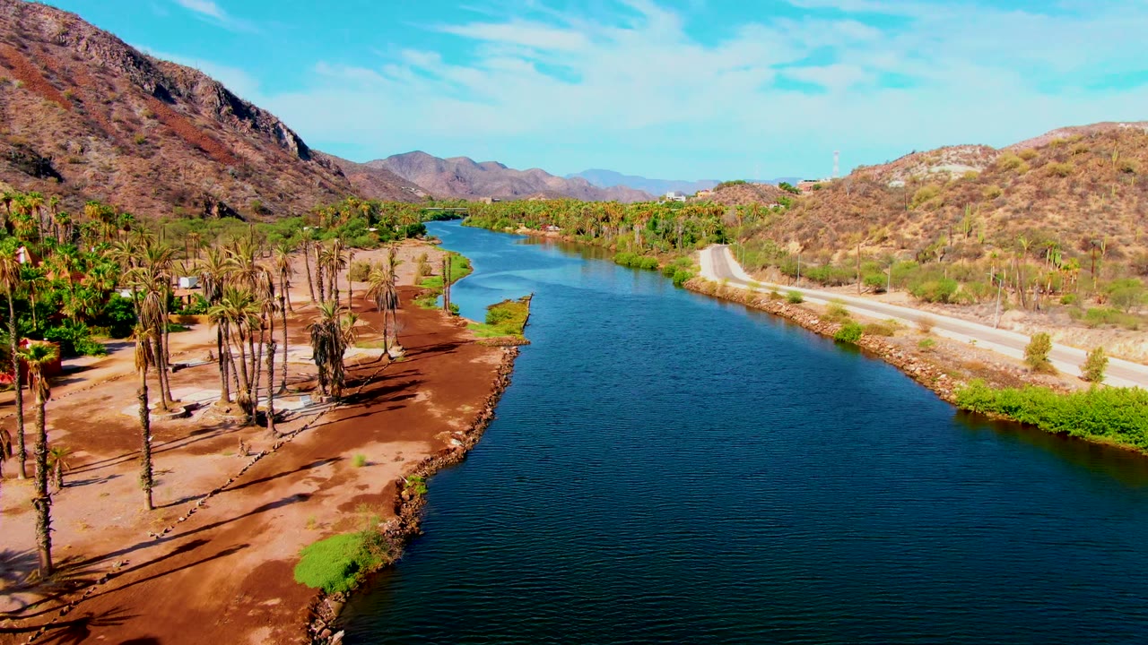 The frame looks down the Mulege river as it curves past a palm-lined bank, green scrub at the water edge, a light-colored road, rocky desert hills, and no visible people.