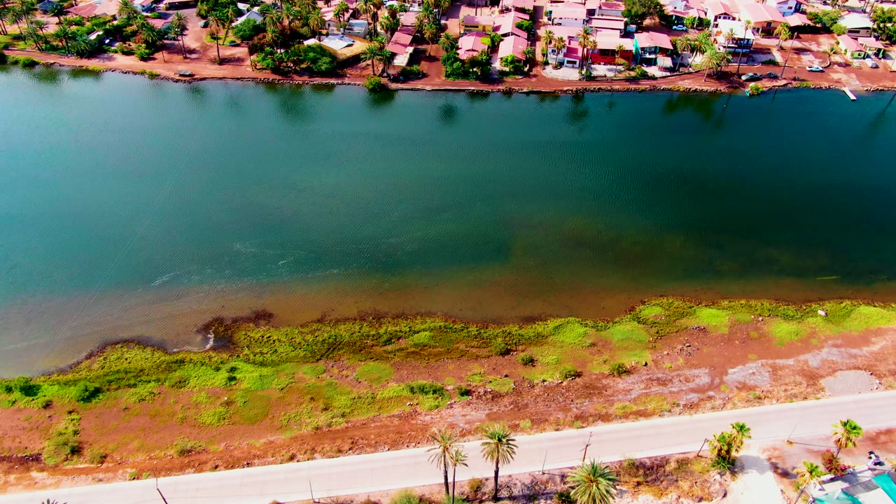 Overhead view in Mulege, Baja California Sur showing canal water between residential homes at the top and a marshy shore road with palms below, no visible people.