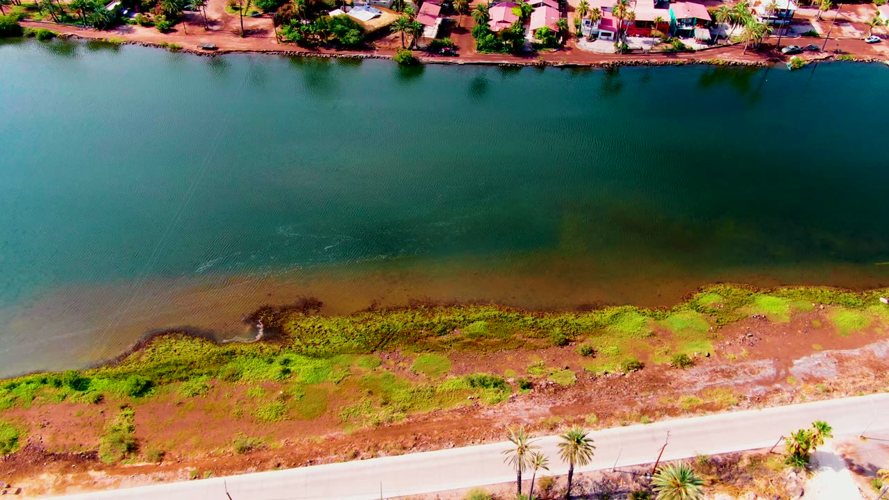 High overhead Mulege frame with green canal water across the center, houses along the upper bank, and a pale road bordering bright marsh vegetation below, no visible people.