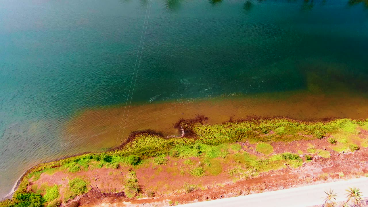 Top-down aerial view in Mulege, Baja California Sur, Mexico, showing teal water, brown shallows, green shoreline vegetation, a pale road edge, palm crowns near the bottom, and no visible people.