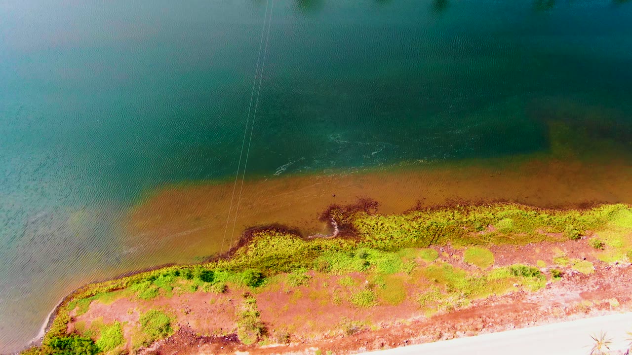 Aerial coastal edge with blue-green water, brown shallows, dense vegetation, and road partly visible below.