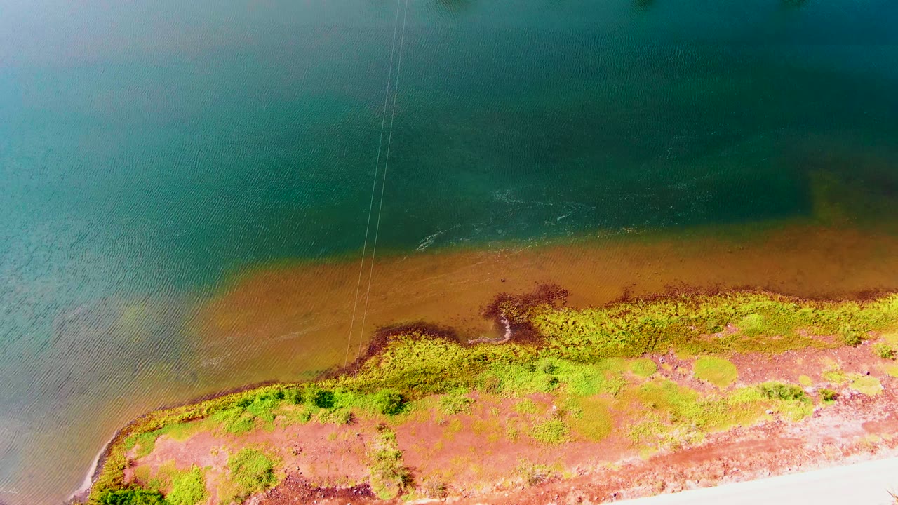 Overhead view of the Mulege coast with darker teal water filling the top, rust-brown shallows along the shore, green and reddish vegetation below, the road nearly cropped out, and no visible people.