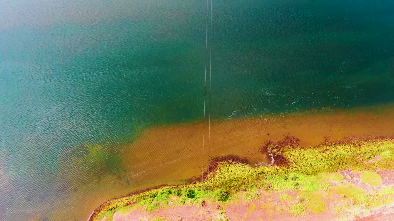 Overhead view in Mulege, Baja California Sur, Mexico, showing teal water, a brown exposed tidal edge, and green-pink shoreline vegetation with no visible people.