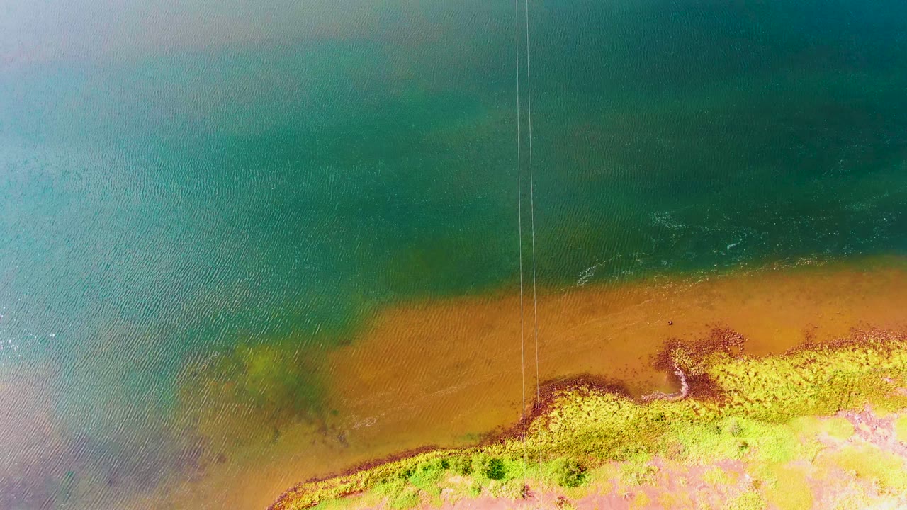 Overhead Mulege coastal view with dark and light teal water, a brown tidal strip, and a narrow band of green and pink vegetation along the lower frame with no visible people.