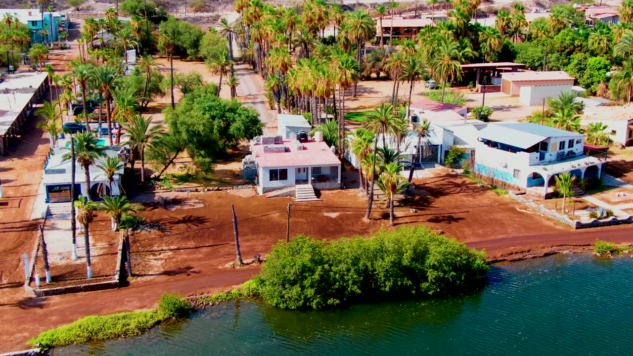 Aerial neighborhood view with palms, white houses, dirt road, and water along the edge.